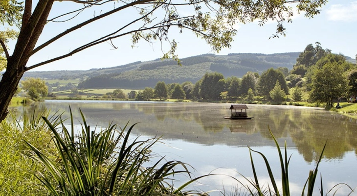 Camping de Matour