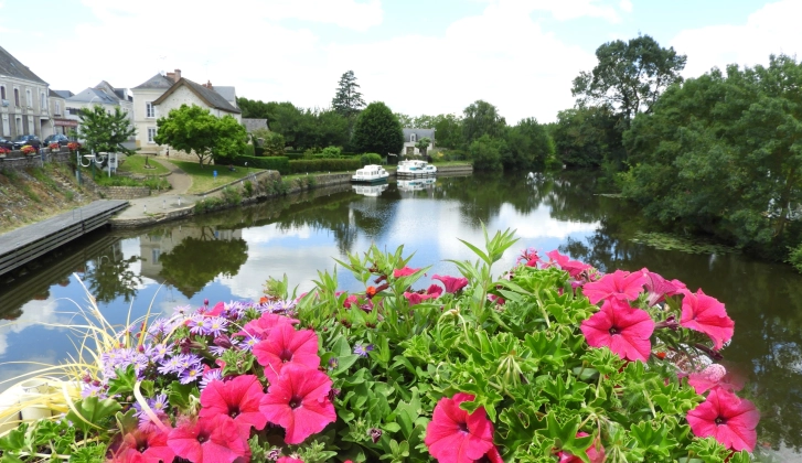 Camping du Lion d'Angers