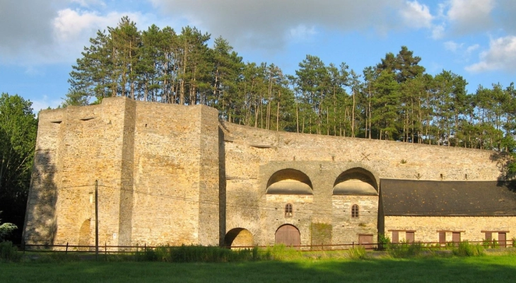 Camping du Lion d'Angers