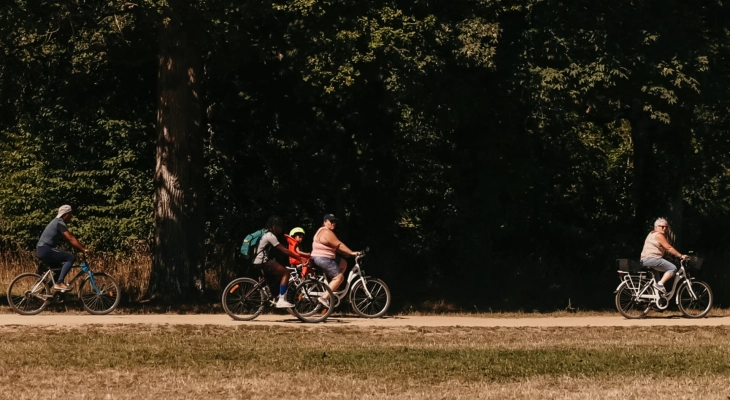 Camping du Lion d'Angers