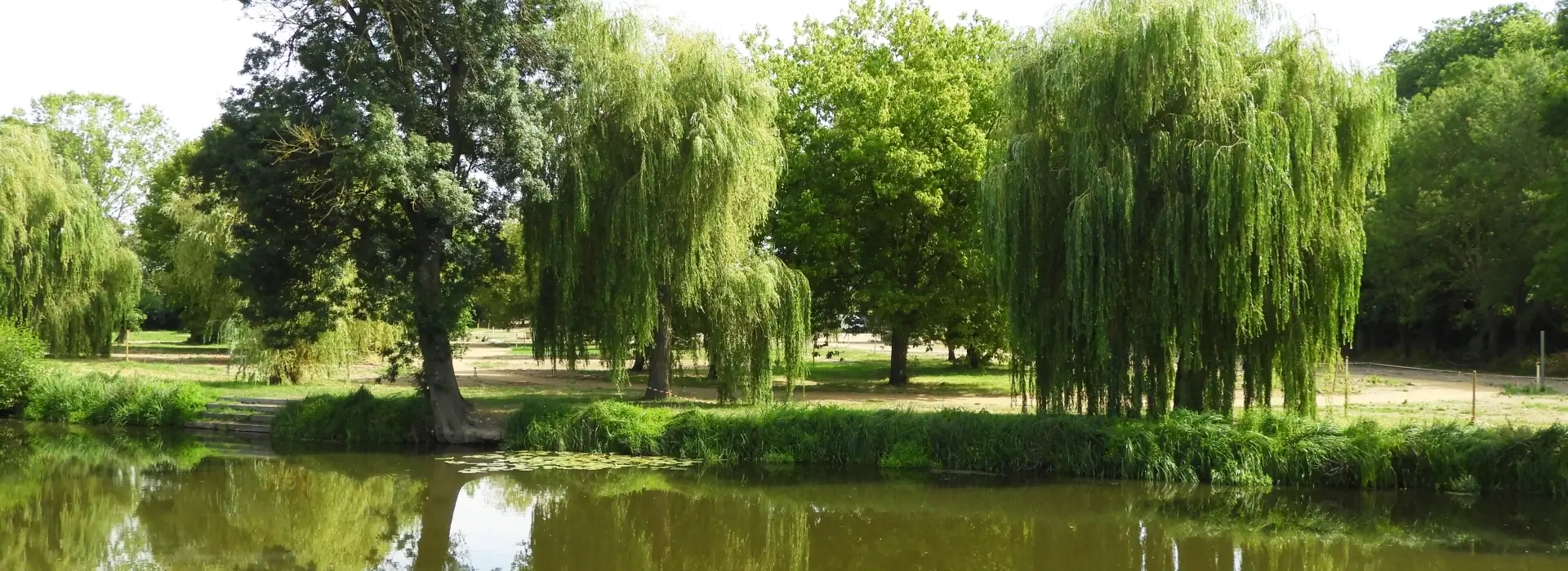 Camping du Lion d'Angers