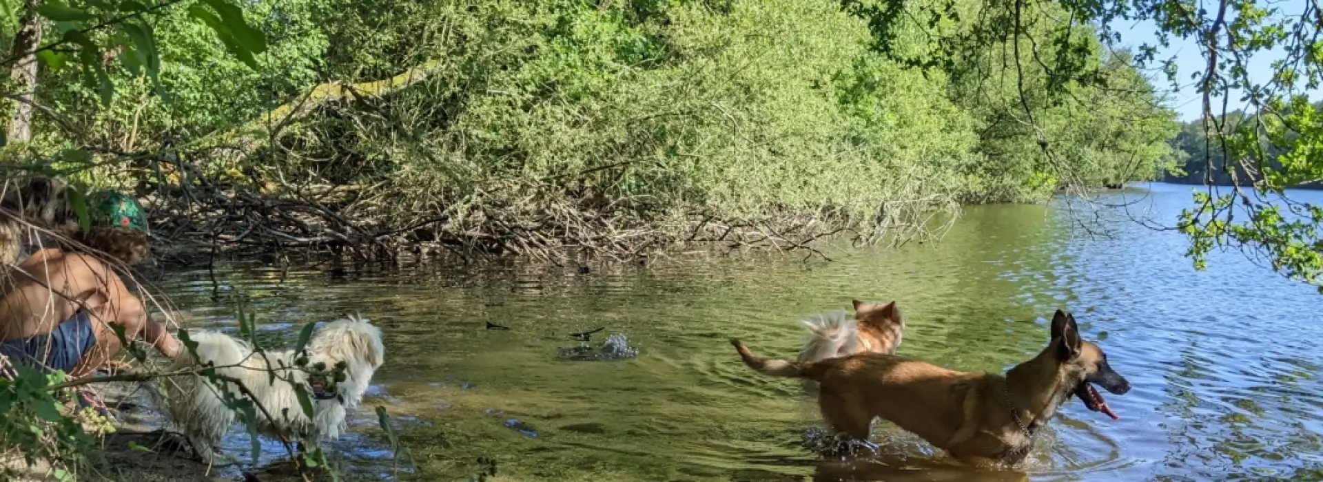 Camping du Lac de St-Pardoux