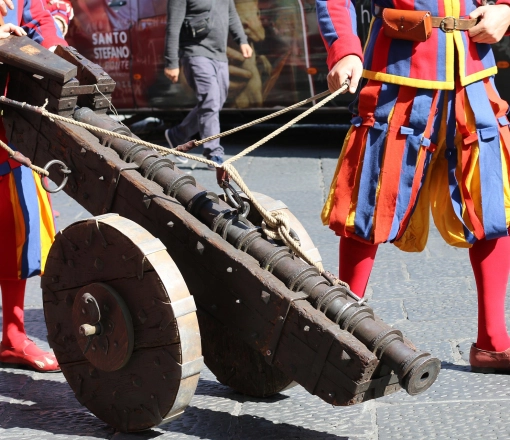 Fêtes Renaissance du Roi de l’Oiseau