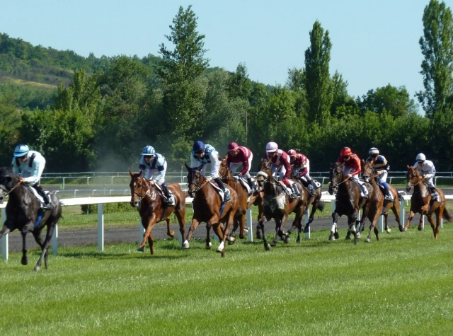 Pays de la Loire