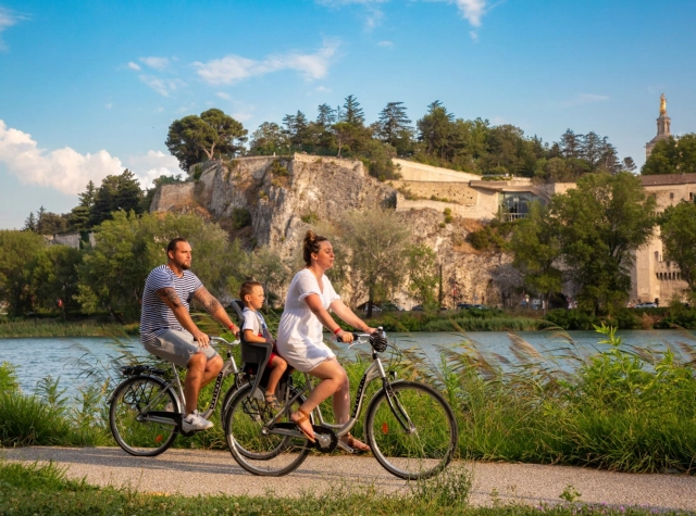 Avignon et la Provence