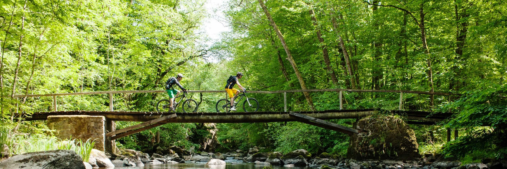 Le Parc Naturel Régional du Morvan : un lieu mystérieux et hors du temps