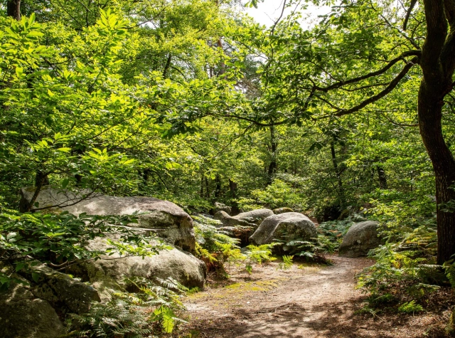 Le Pays de Fontainebleau à 1h de Paris